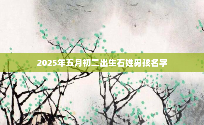 2025年五月初二出生石姓男孩名字