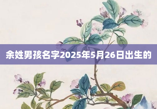 余姓男孩名字2025年5月26日出生的
