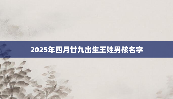 2025年四月廿九出生王姓男孩名字