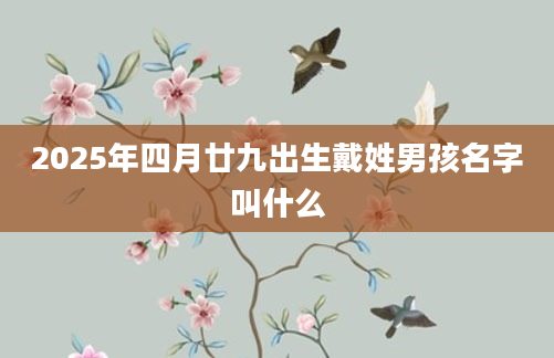2025年四月廿九出生戴姓男孩名字叫什么