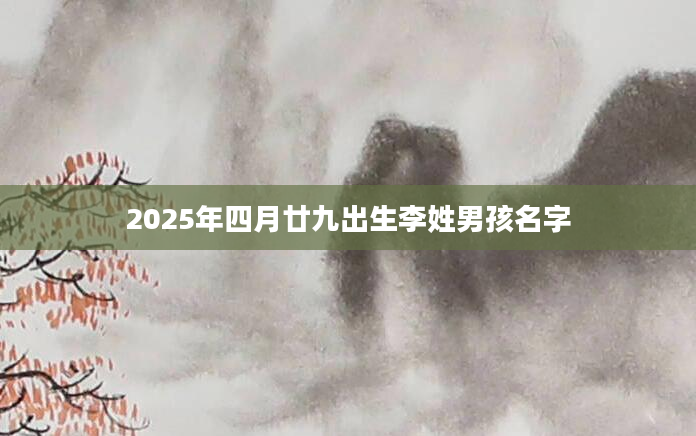 2025年四月廿九出生李姓男孩名字