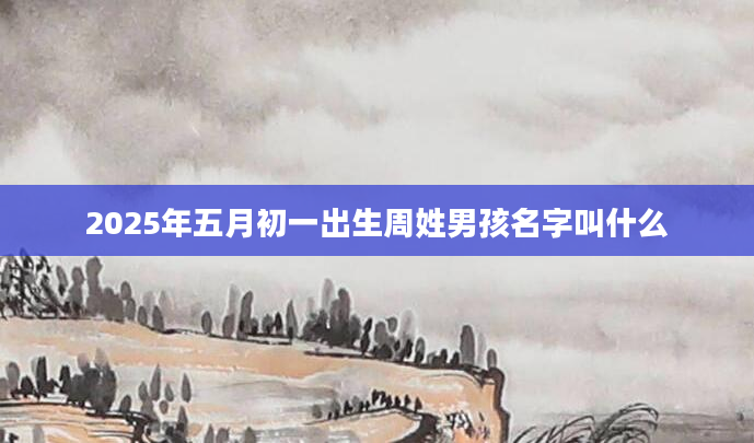 2025年五月初一出生周姓男孩名字叫什么