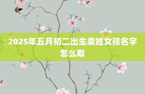 2025年五月初二出生袁姓女孩名字怎么取