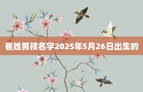 崔姓男孩名字2025年5月26日出生的