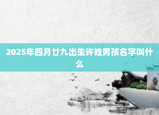 2025年四月廿九出生许姓男孩名字叫什么