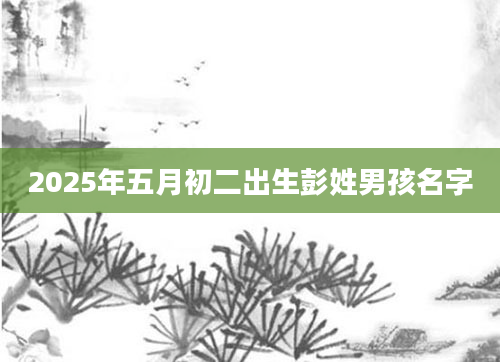 2025年五月初二出生彭姓男孩名字
