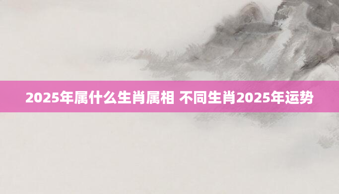 2025年属什么生肖属相 不同生肖2025年运势