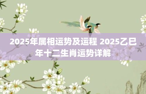 2025年属相运势及运程 2025乙巳年十二生肖运势详解