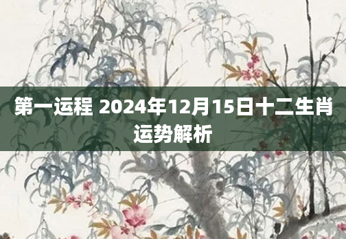 第一运程 2024年12月15日十二生肖运势解析