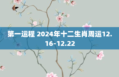 第一运程 2024年十二生肖周运12.16-12.22
