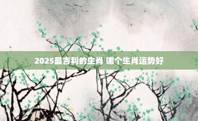 2025最吉利的生肖 哪个生肖运势好