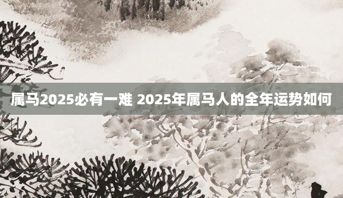 属马2025必有一难 2025年属马人的全年运势如何
