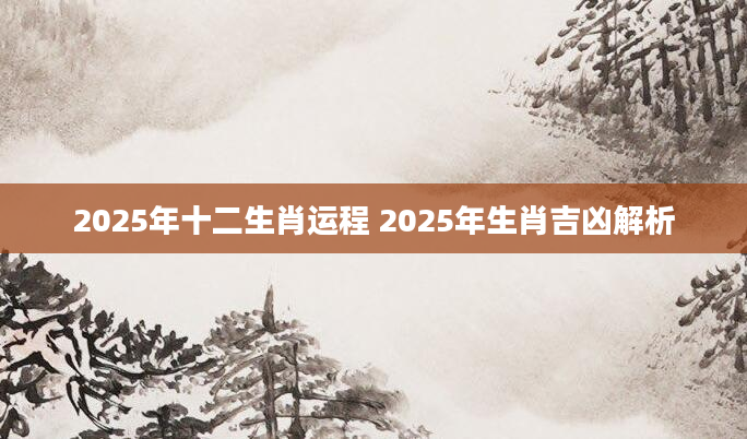 2025年十二生肖运程 2025年生肖吉凶解析