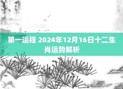 第一运程 2024年12月16日十二生肖运势解析