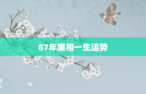 87年属相一生运势