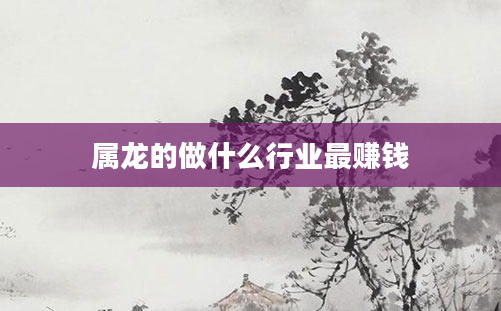 属龙的做什么行业最赚钱