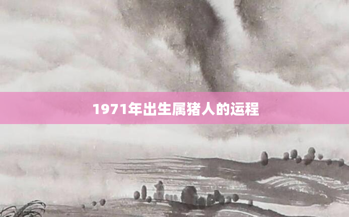 1971年出生属猪人的运程