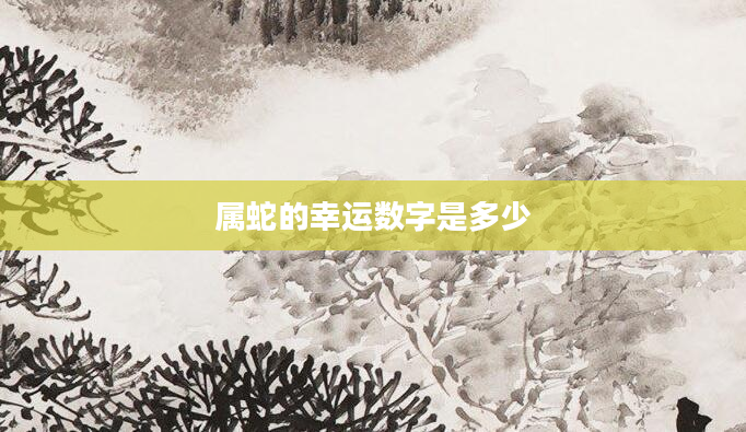 属蛇的幸运数字是多少