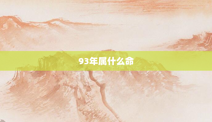 93年属什么命