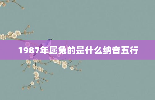 1987年属兔的是什么纳音五行