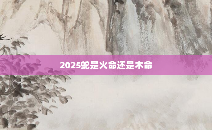 2025蛇是火命还是木命