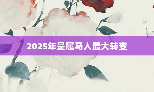 2025年是属马人最大转变