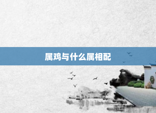 属鸡与什么属相配