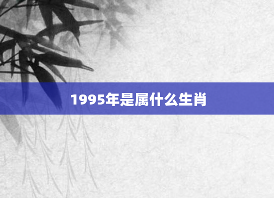 1995年是属什么生肖