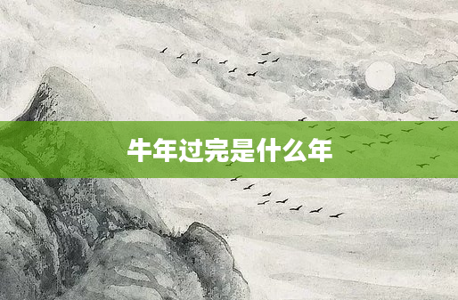 牛年过完是什么年