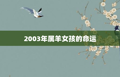 2003年属羊女孩的命运