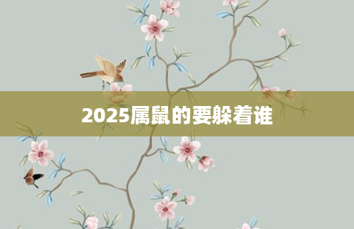 2025属鼠的要躲着谁