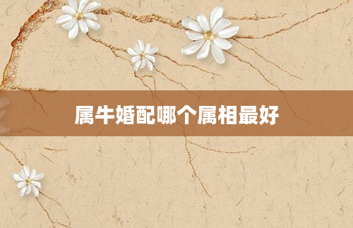 属牛婚配哪个属相最好