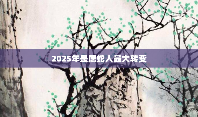 2025年是属蛇人最大转变