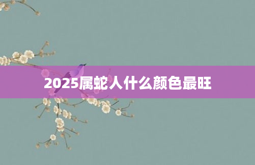 2025属蛇人什么颜色最旺