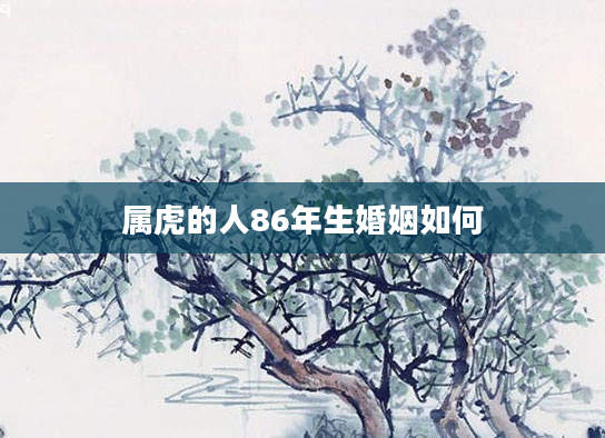 属虎的人86年生婚姻如何