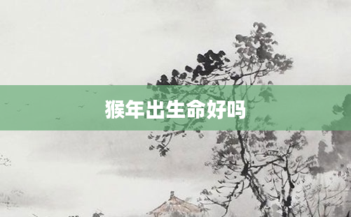 猴年出生命好吗