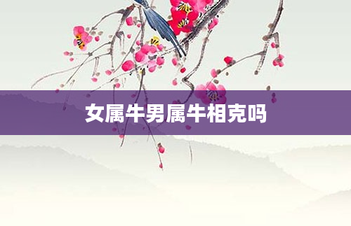 女属牛男属牛相克吗