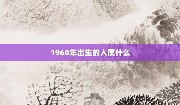 1960年出生的人属什么