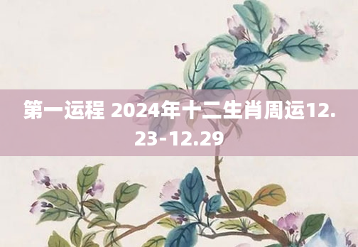 第一运程 2024年十二生肖周运12.23-12.29