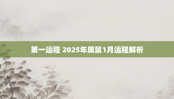 第一运程 2025年属鼠1月运程解析