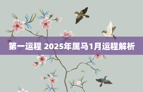 第一运程 2025年属马1月运程解析
