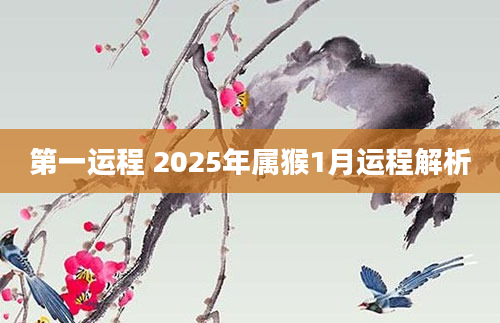 第一运程 2025年属猴1月运程解析