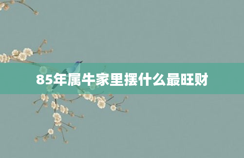 85年属牛家里摆什么最旺财
