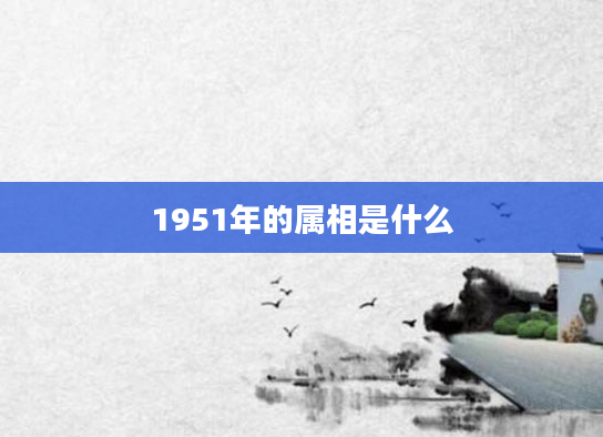 1951年的属相是什么