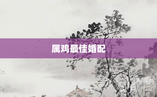 属鸡最佳婚配