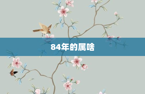 84年的属啥