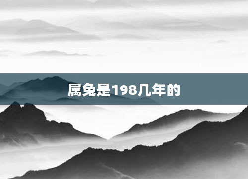 属兔是198几年的