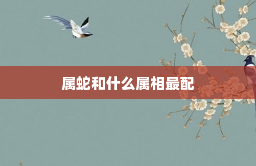 属蛇和什么属相最配