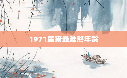 1971属猪最难熬年龄