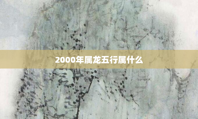 2000年属龙五行属什么